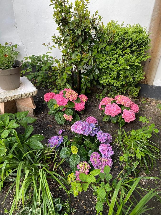 Appartement Vivier 4 Personnes Tout Confort Boulogne-sur-Mer Kültér fotó
